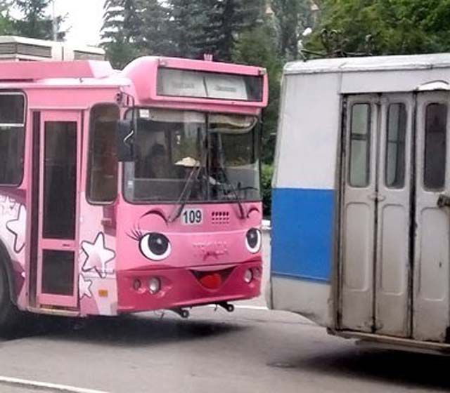 Забавные картинки