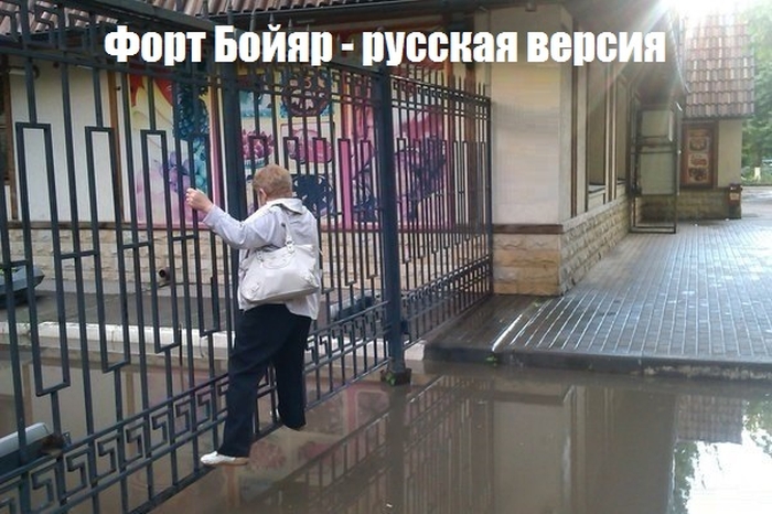 Забавные картинки