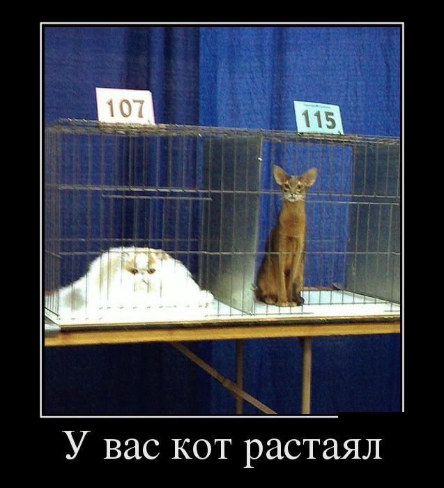 Демотиваторы (30 фото)