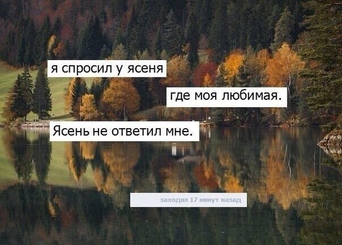 Прикольные картинки (101 фото)