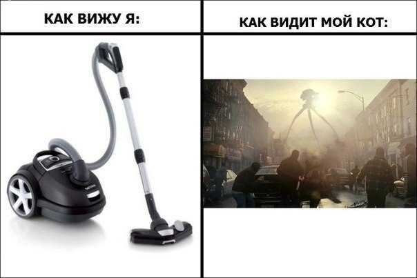 Прикольные картинки (91 фото)