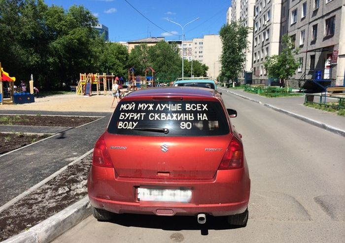 Забавные картинки