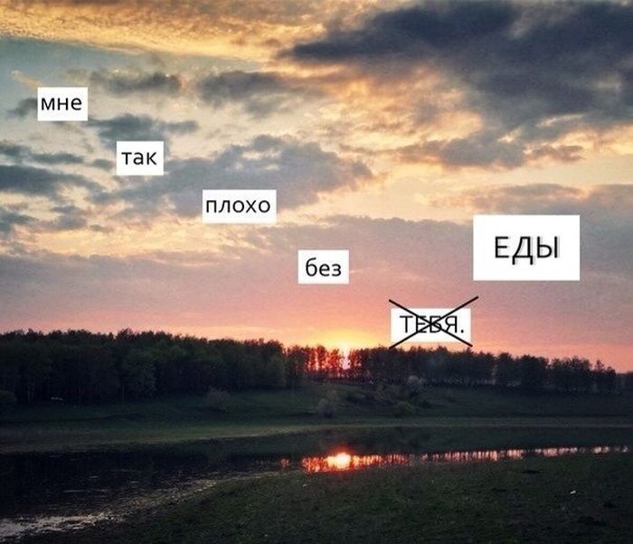 Забавные картинки