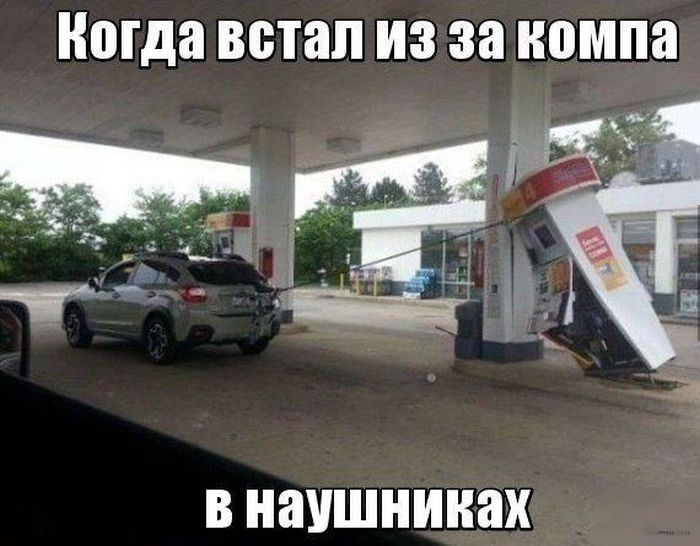 Забавные картинки