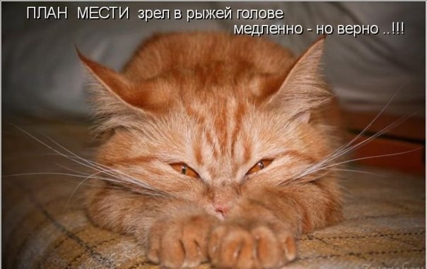 Тематическая подборка (42 фото)