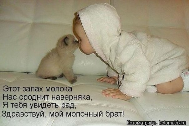 Тематическая подборка (42 фото)