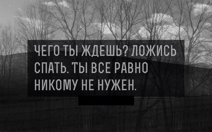 Прикольные картинки (87 фото)