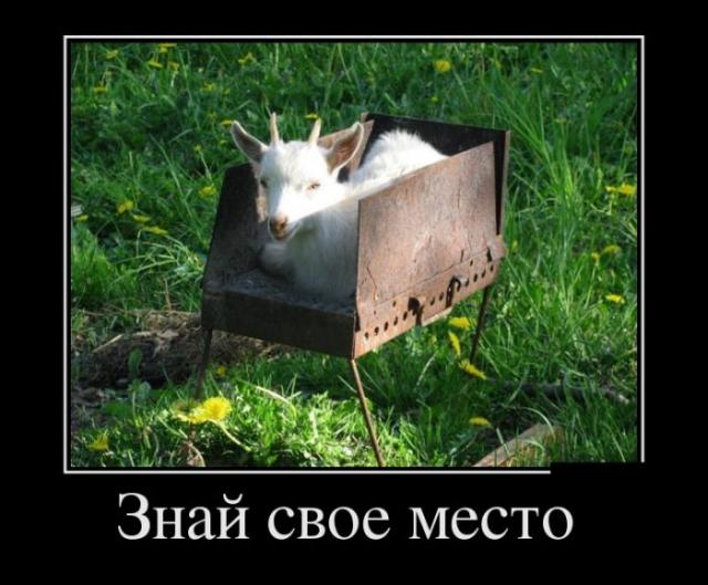 Демотиваторы (30 фото)