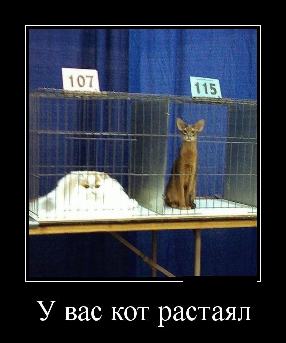 Демотиваторы (30 фото)