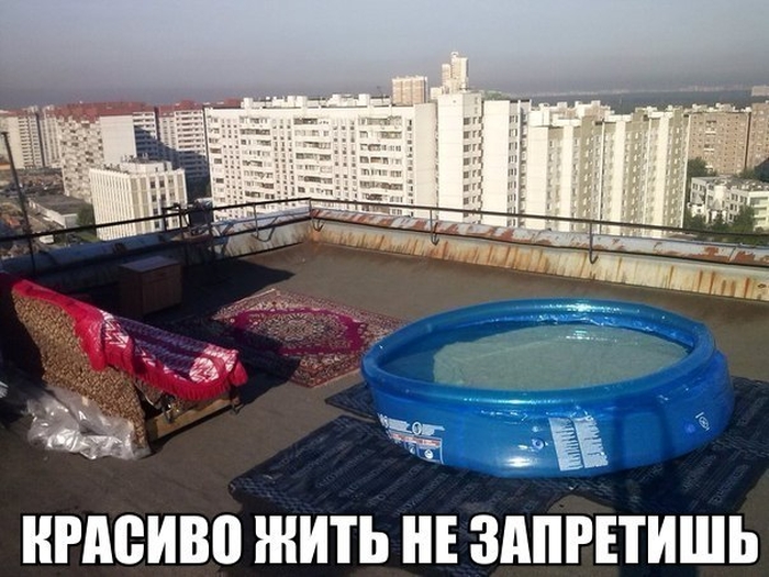 Прикольные картинки (113 фото)