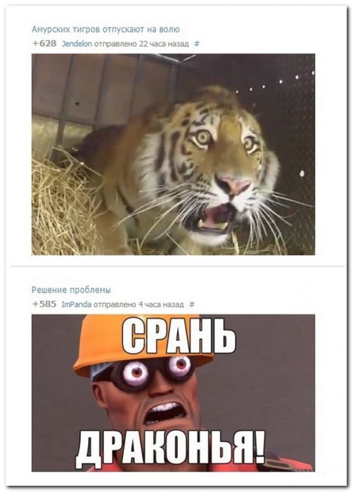 Смешные комментарии из социальных сетей (40 фото)