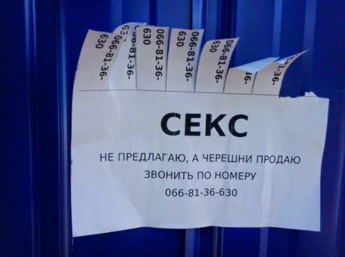Забавные картинки