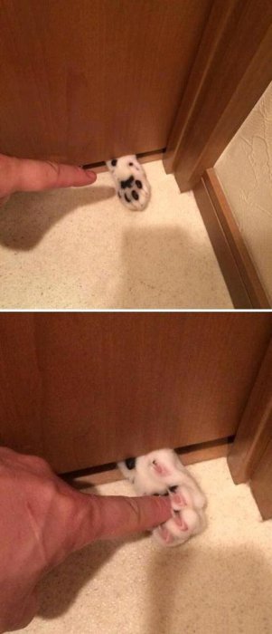 Прикольные картинки (108 фото)