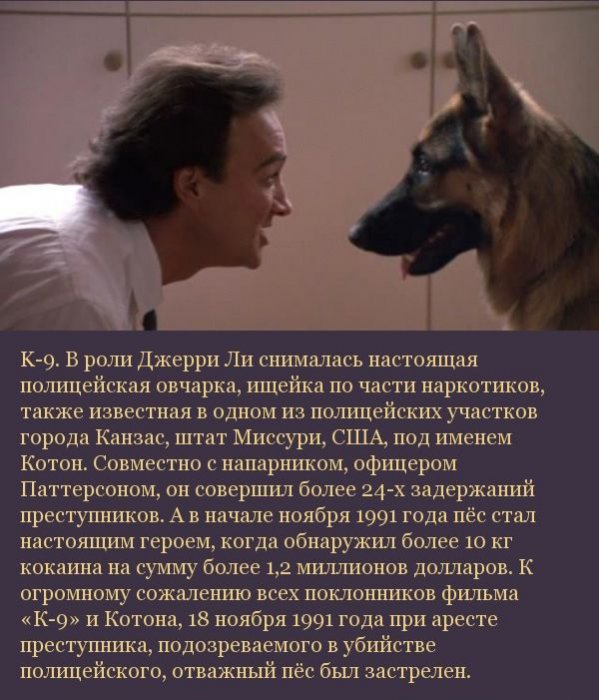 Подборка кинофактов