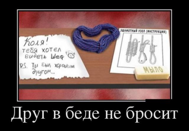 Демотиваторы (30 фото)