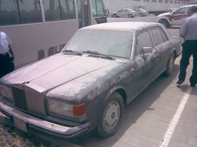 Подснежники Дубая (36 фото)