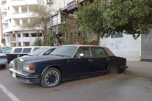 Подснежники Дубая (36 фото)