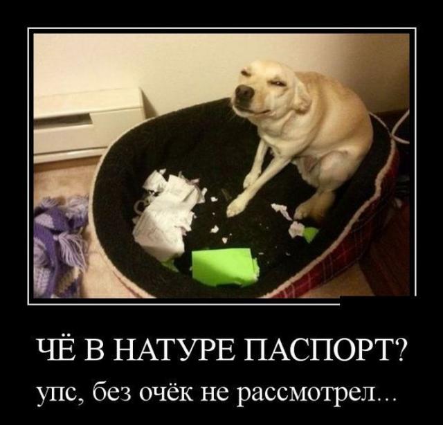 Демотиваторы (30 фото)