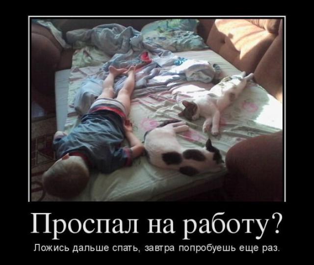 Демотиваторы (30 фото)