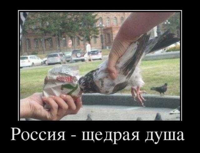 Демотиваторы (30 фото)