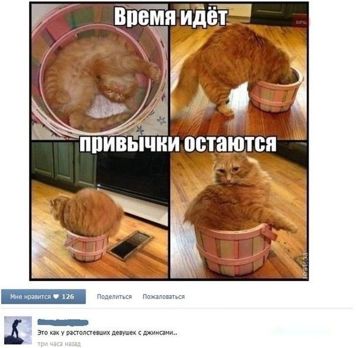 Прикольные картинки (104 фото)