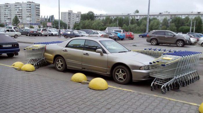 Прикольные картинки (104 фото)