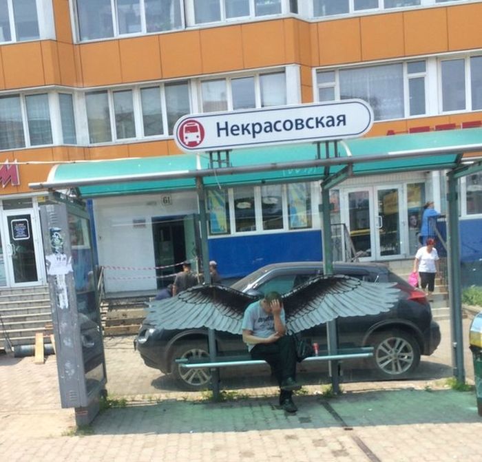 Прикольные картинки (104 фото)