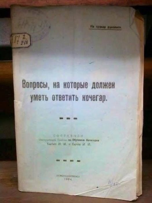 Прикольные картинки (104 фото)