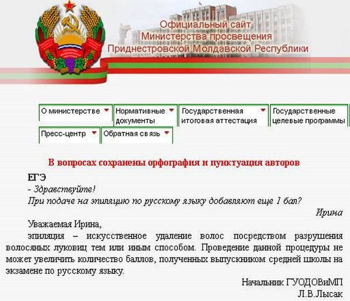 Прикольные картинки (104 фото)