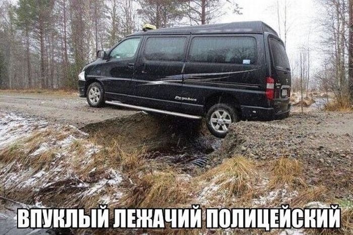 Прикольные картинки (108 фото)