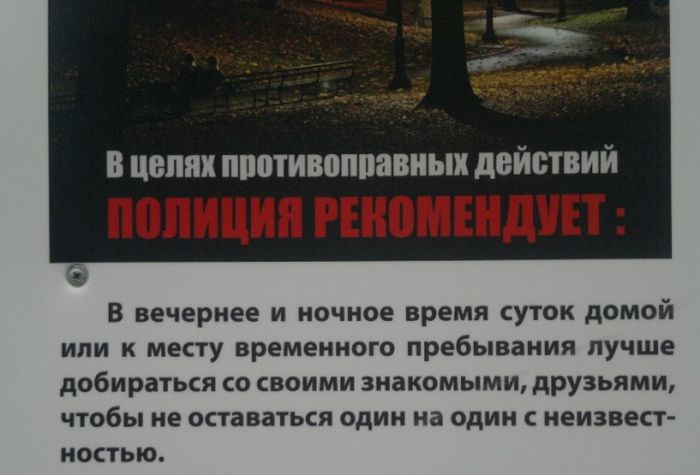 Прикольные картинки (108 фото)
