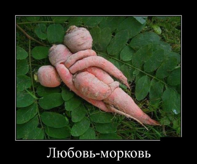 Демотиваторы (30 фото)
