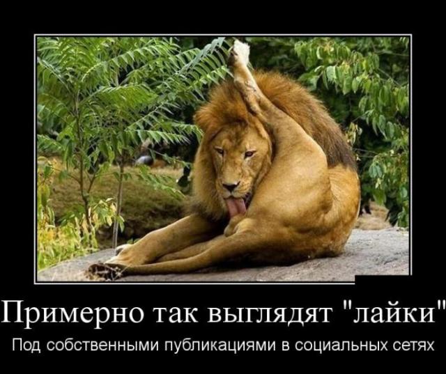 Демотиваторы (30 фото)