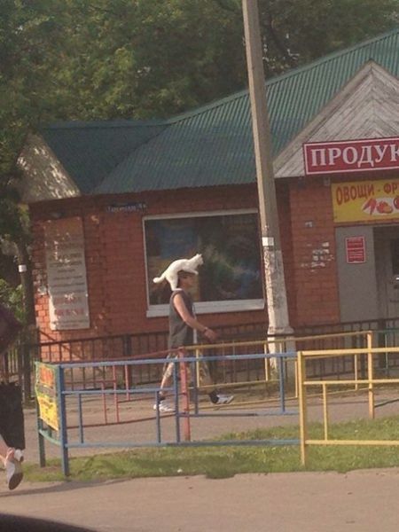 Забавные картинки