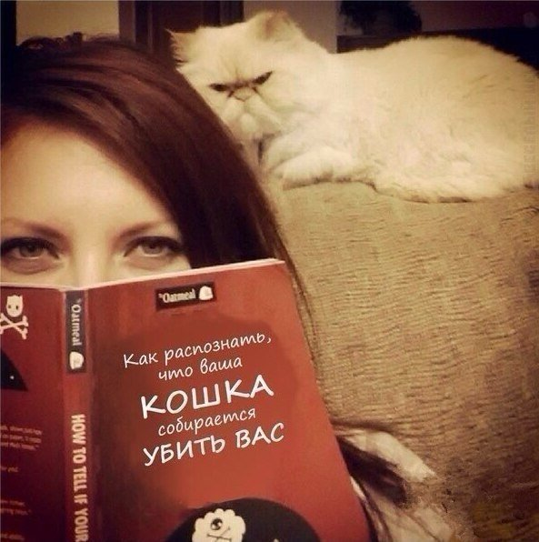 Прикольные картинки (97 фото)