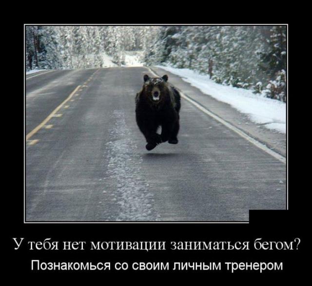 Демотиваторы (30 фото)