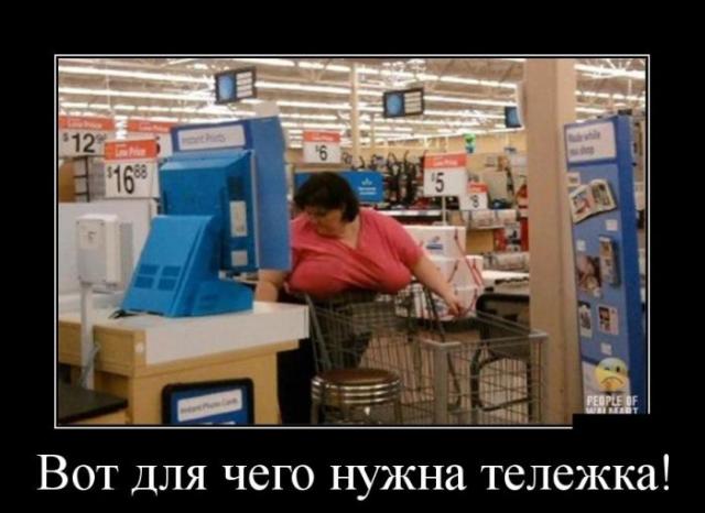 Демотиваторы (30 фото)