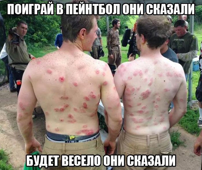 Забавные картинки