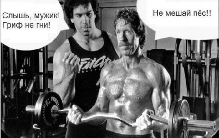 Забавные картинки