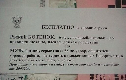 Забавные картинки