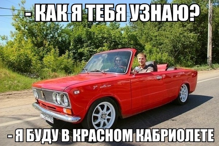 Забавные картинки