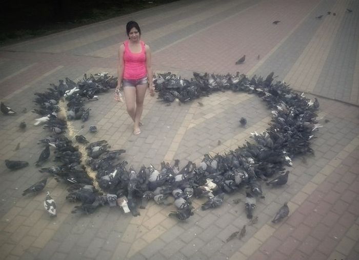 Прикольные картинки (87 фото)