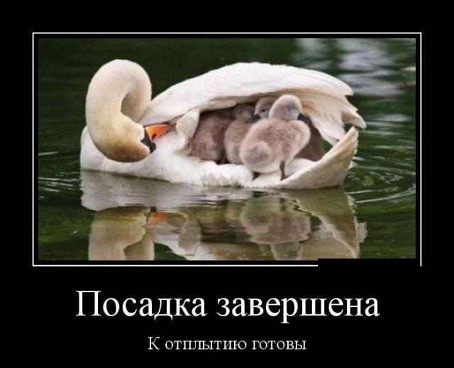 Демотиваторы (30 фото)