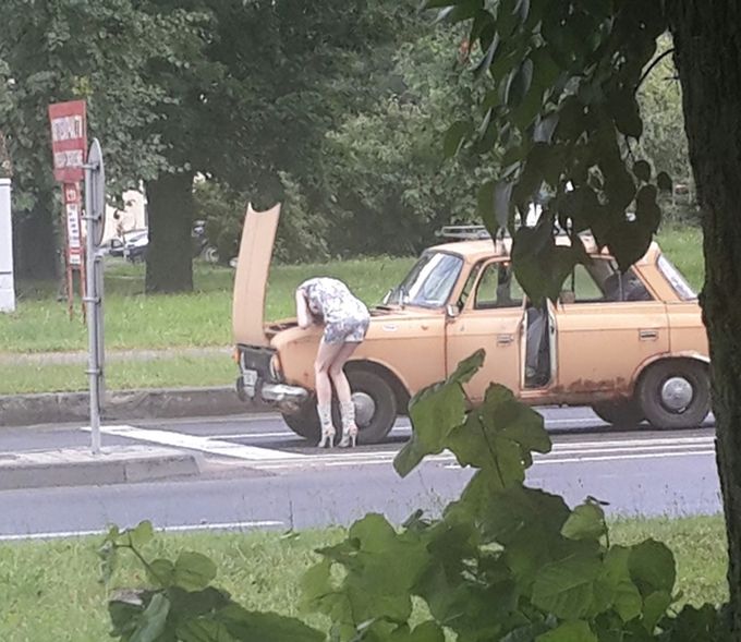 Забавные картинки