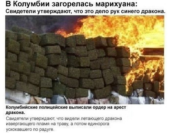 Забавные картинки