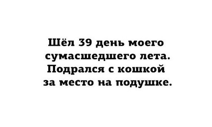 Прикольные картинки (80 фото)