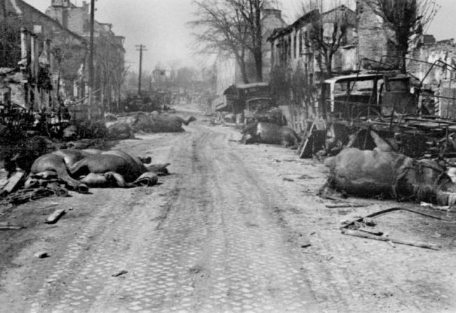 Фотографии Великой Отечественной войны 1945 года (89 фото)