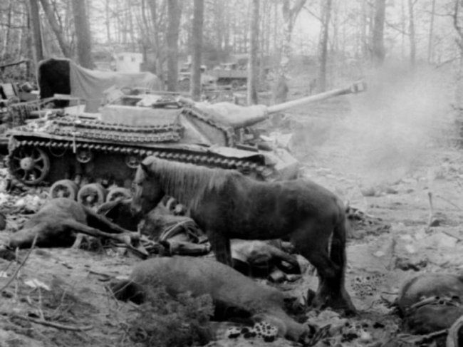Фотографии Великой Отечественной войны 1945 года (89 фото)
