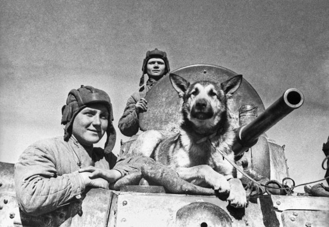 Фотографии Великой Отечественной войны 1945 года (89 фото)