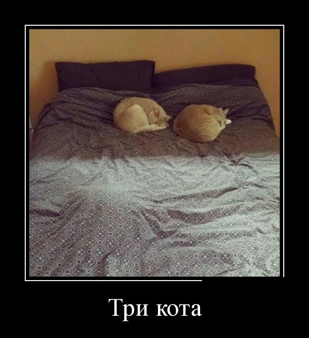 Демотиваторы (30 фото)